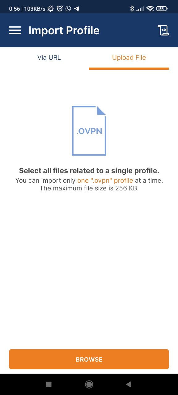 Importa configurazione VPN