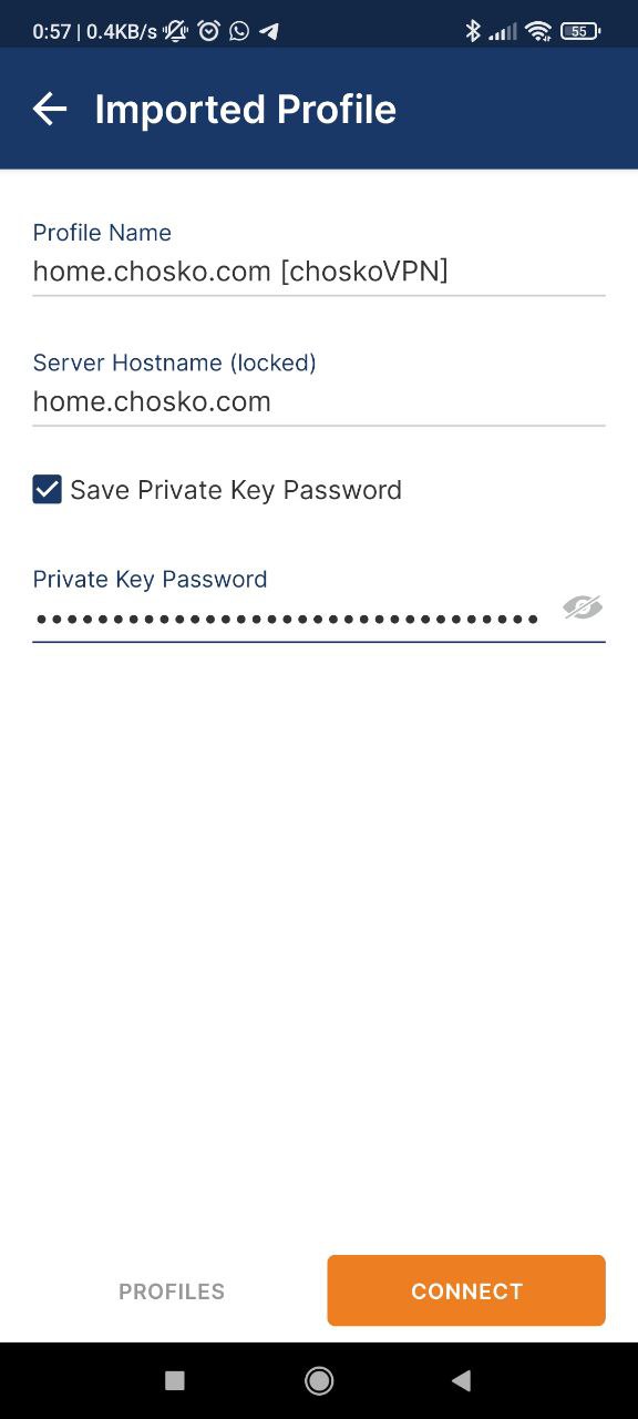 Importa configurazione VPN
